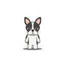 user-avatar