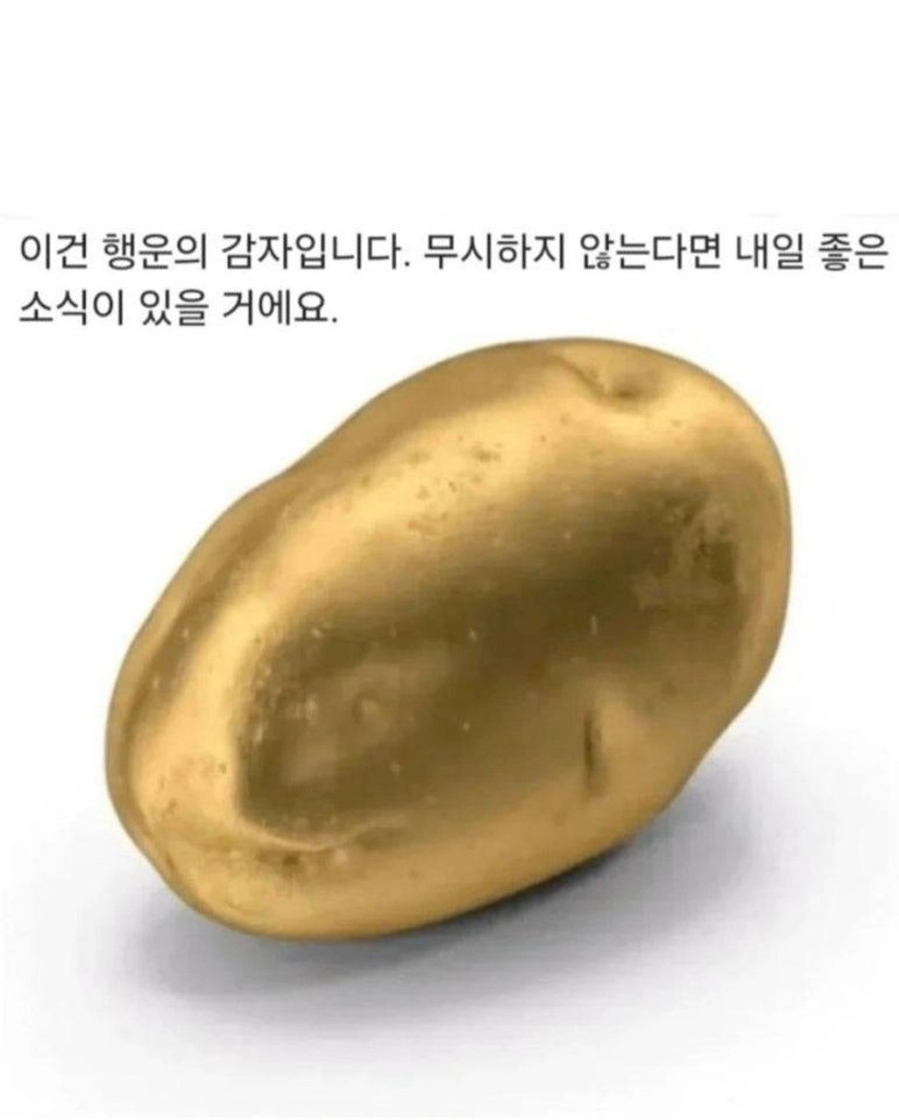 행운의 감자로 행운을 받아가 - 링커리어 커뮤니티
