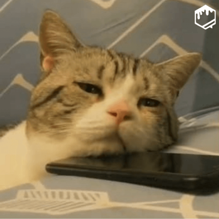 ๋ต์ฅ ๋๋ฆฐ ์น๊ตฌํํ
 ๋ณด๋ด๊ธฐ ์ข์ ์ฐ๋ฝ ์งค ๊ธฐ๋ค๋ฆผ ์งค : ๋ค์ด๋ฒ ๋ธ๋ก๊ทธ