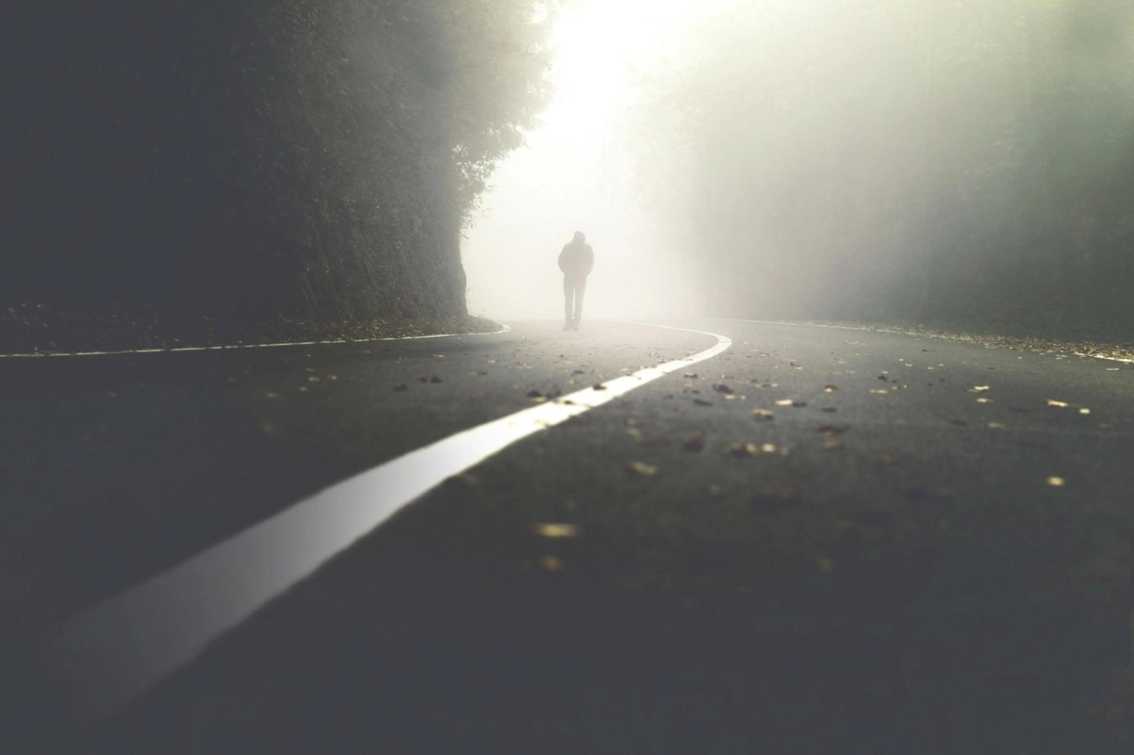 mysterious man walking in the mist