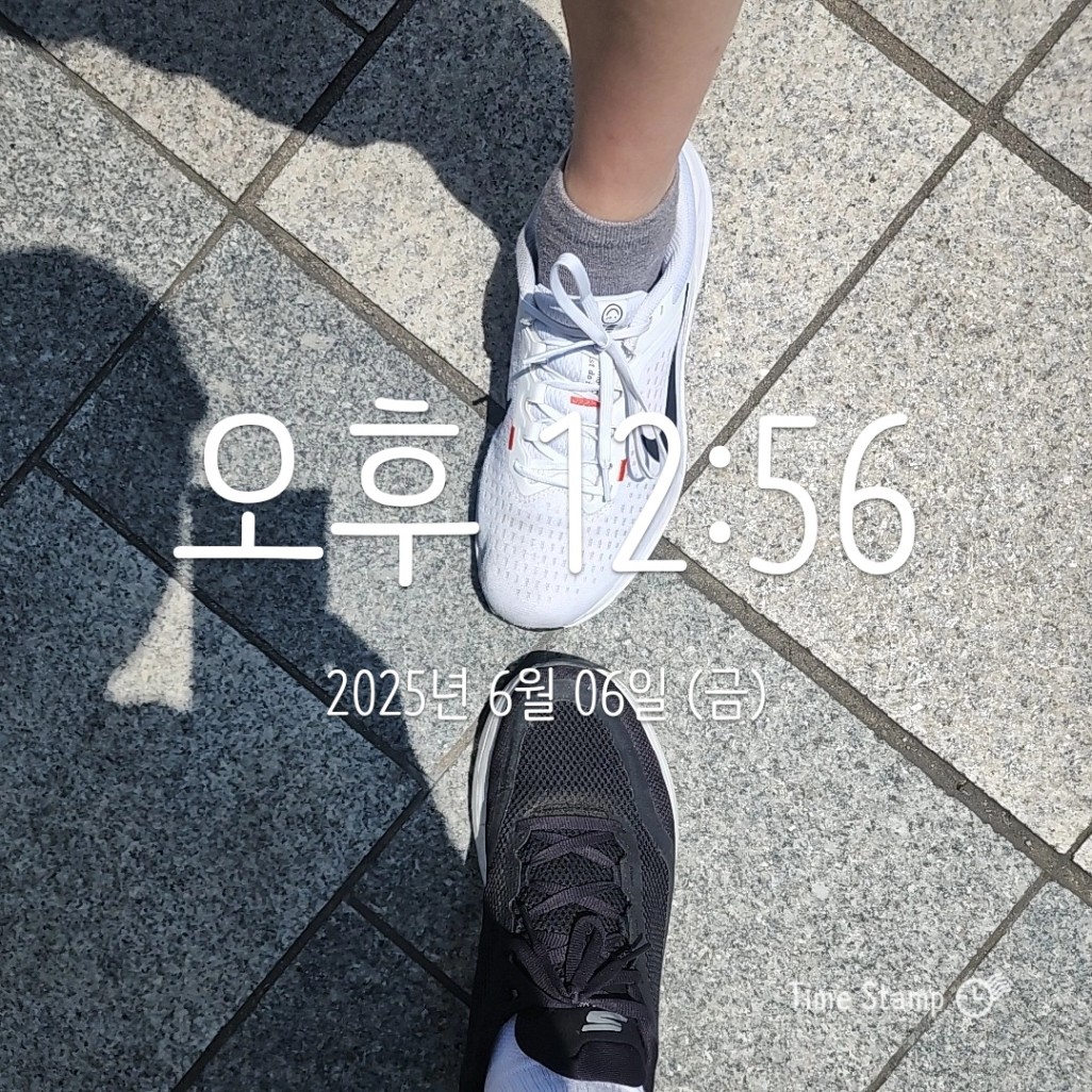 [월부학교 봄날에 자유를향해 ️1단 출발!~ 등어] 등박 합체~!!