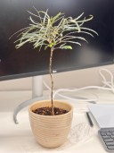 user-avatar