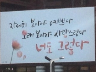 너도 그렇다