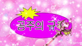 공주의 규칙 세븐틴 | TikTok