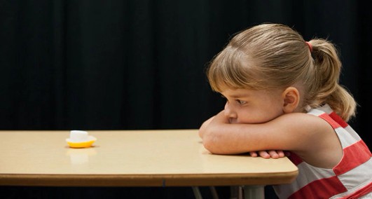 뒤집힌 '마시멜로 실험' … 아이 의지보다 환경이 더 중요? | 중앙일보