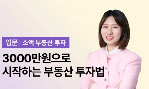 [소액투자 BEST] 3000만원 가진 당신을 위한, 3000만원으로 시작하는 부동산 투자법 | 월급쟁이부자들