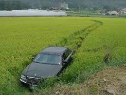지름길 영어로,지름길로 가자 영어로,Let's take a shortcut instead,그럼 지름길로 가자,단축키 영어로,바로가기  영어로, : 네이버 블로그