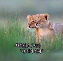 야 저거 사자 짤 : 네이버 블로그