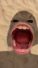 user-avatar