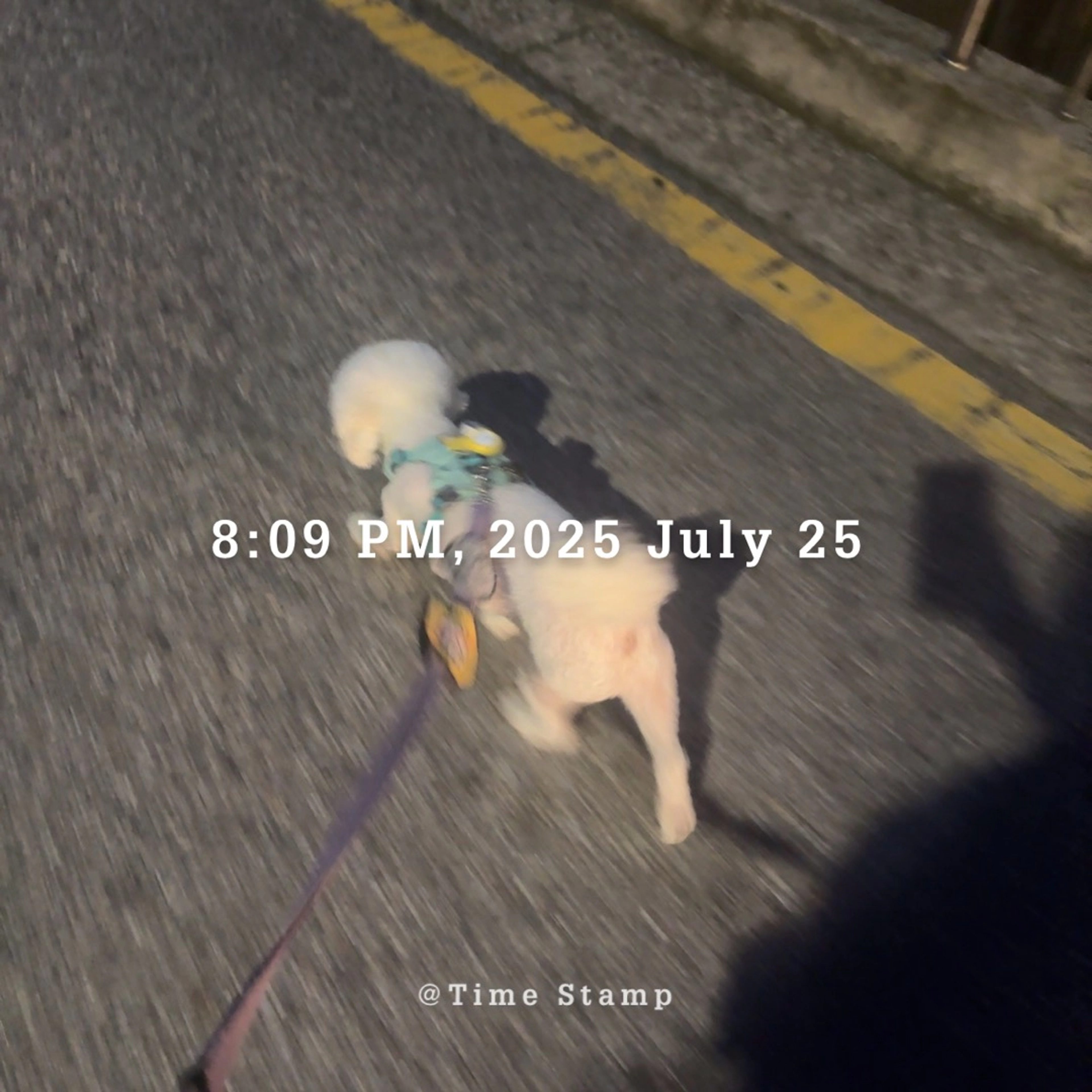 content thumbnail