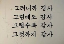감사 감사