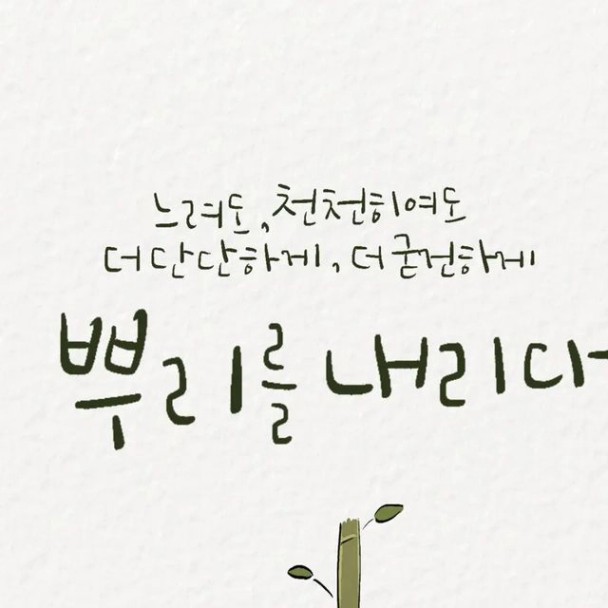 전미영 on Instagram: "느려도, 천천히여도 더 단단하게, 더 굳건하게 뿌리를 내리다 죽순이 땅 속에서 땅 위로 올라오기까지  많은 시간이 걸린다고 한다. 그러나 한 번 땅 위로 올라온 죽순은 하루에 1미터도 자랄 수