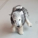 user-avatar