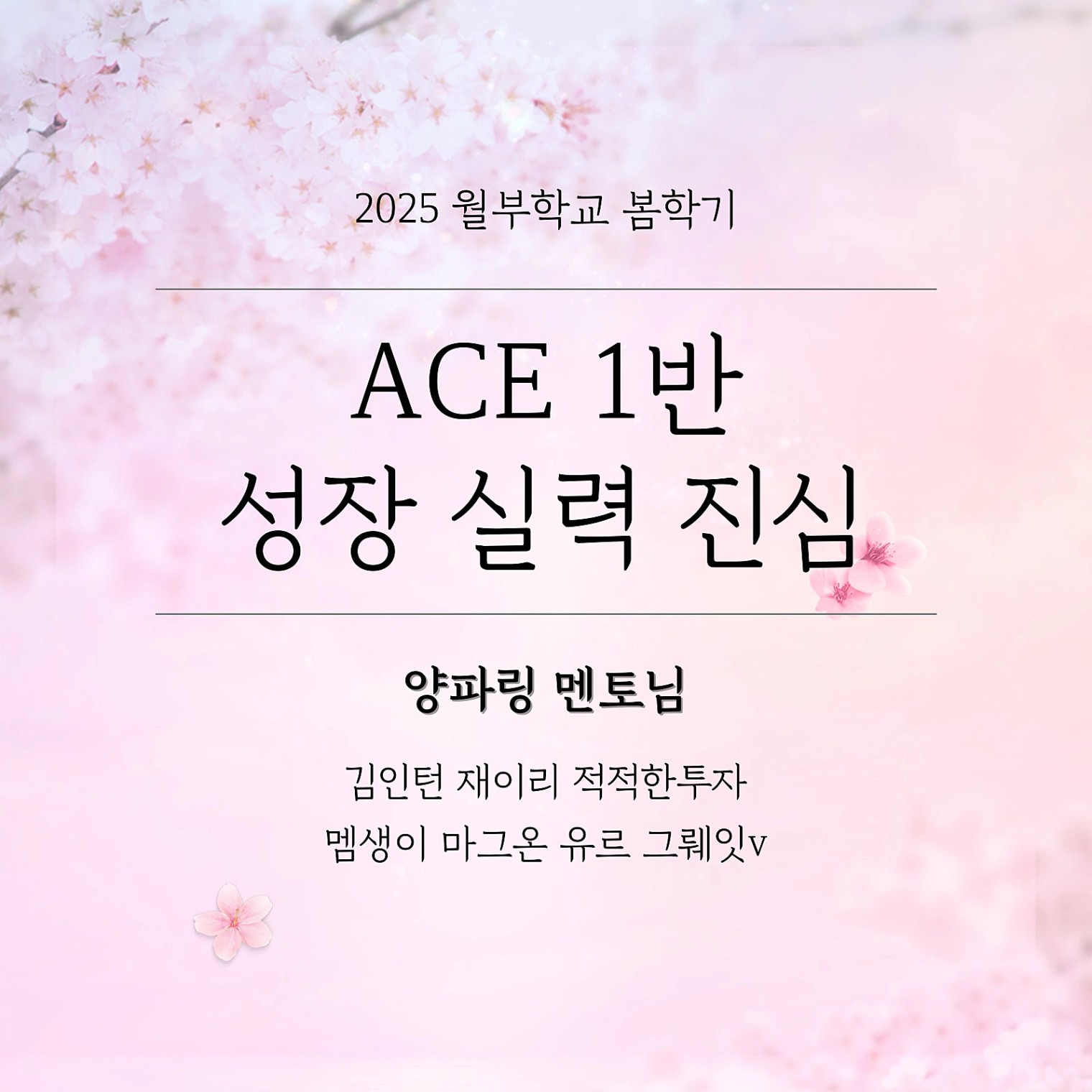 KakaoTalk_20250403_221312923.jpg