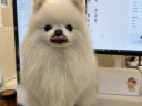 user-avatar