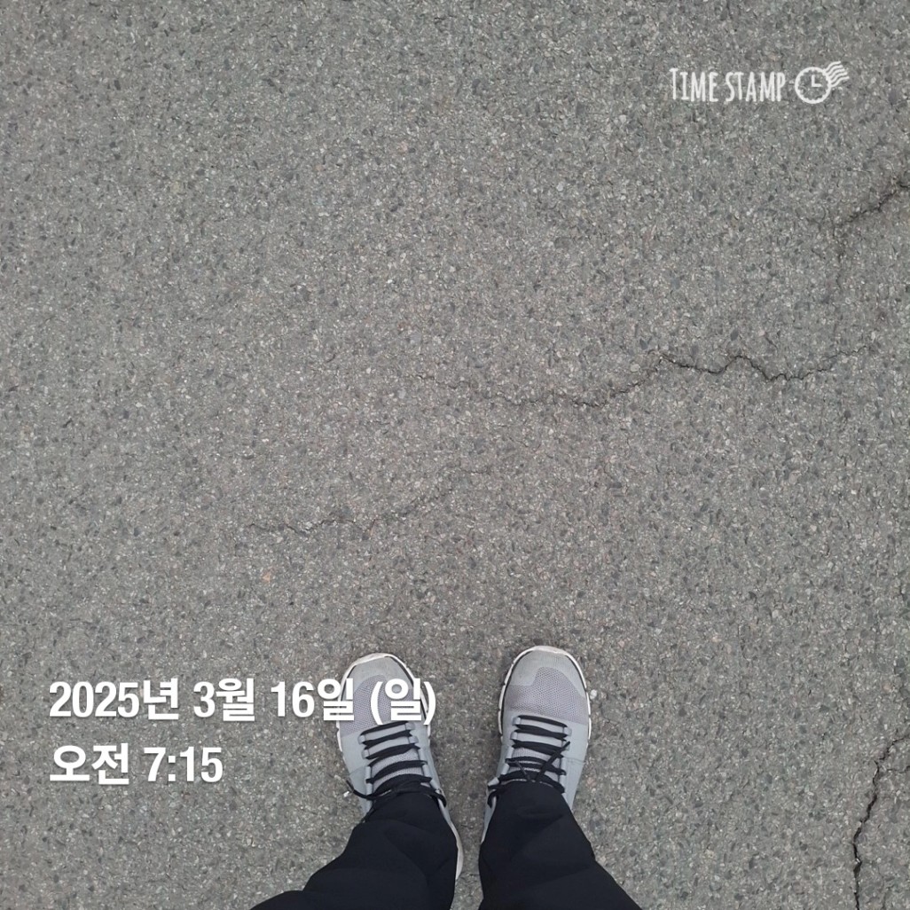 [실전30기 25종 종합비타민보다 임장피로엔 허씨허씨 코농] 오늘 단임 완