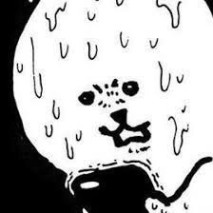 농담곰 짤 뿌립니다 (ver.2) : 네이버 블로그