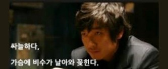 싸늘하다, - 엽기사진실 - 이종격투기