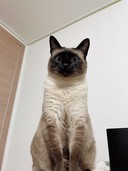 user-avatar