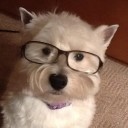 user-avatar