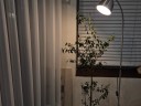 user-avatar