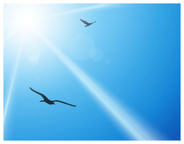 날아가는 새 벡터 - Freepik에서 무료 고품질 벡터를 다운로드하세요 | Freepik