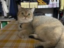 user-avatar