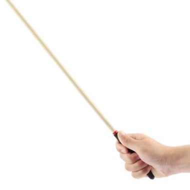 회초리 : 롯데ON