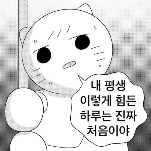 시각적 검색 이미지
