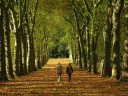 user-avatar