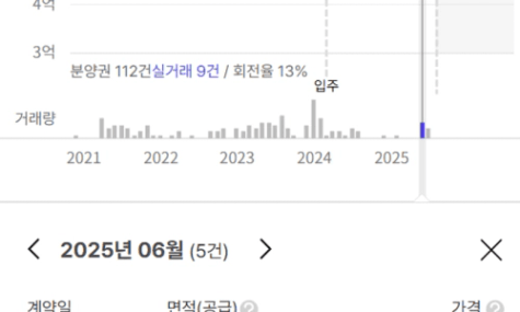 올해 서울에 2채를 매수했습니다[도리밍]