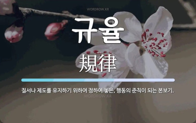 규율.jpg