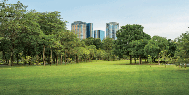 조세금융신문 - [전문가칼럼]2020년 7월 실효되는 전국의 도시공원 일몰제, 토지주의 절세 대비는?