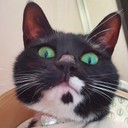 user-avatar