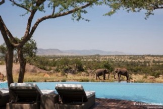 아프리카-탄자니아 세렝게티 포시즌 업그레이드 & 특전