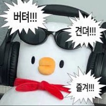 파이팅 넘치는 짤 모음집!!🔥🔥 . . . #공감짤#귀여운짤#인형짤#프사#짤 #짤방#인형#베베#멜롱#베베더오리#베베오리#오리인형#거북이인형#오리#거북이