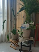 user-avatar