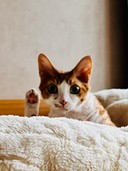 user-avatar