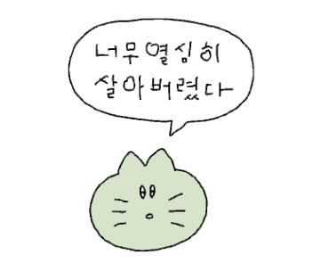 ogq_5eedbcd06ab59-13