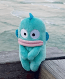 user-avatar