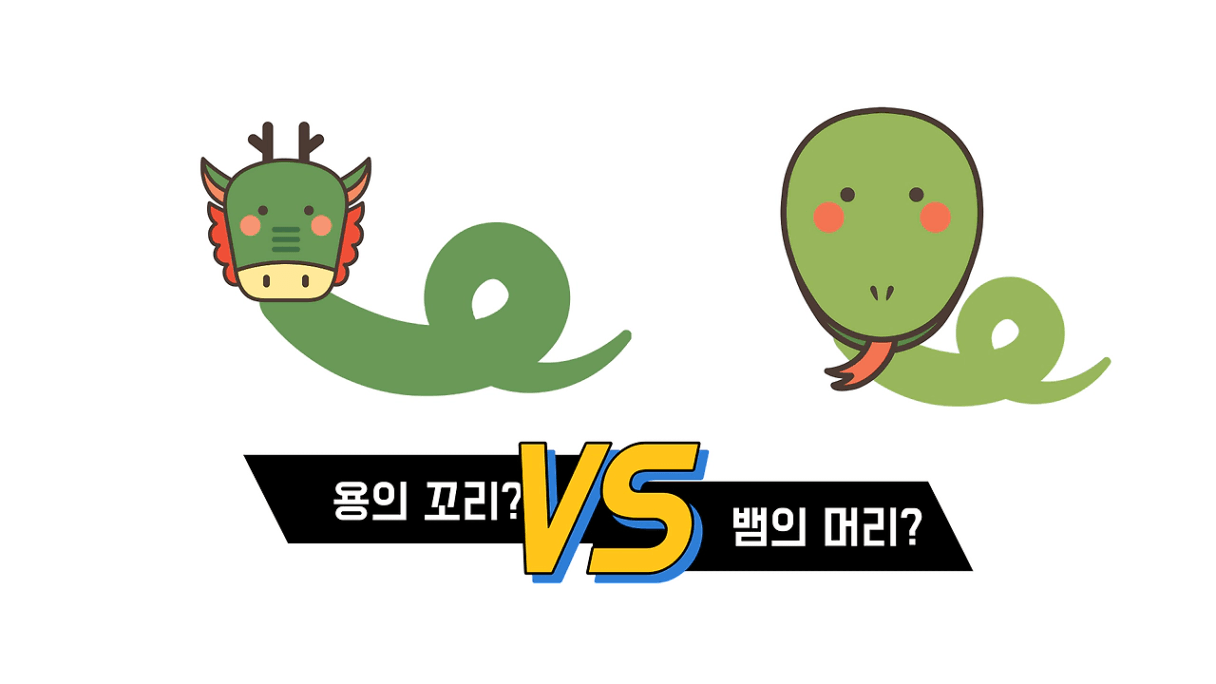 용의 꼬리보다, 뱀의 머리가 되는 게 좋은 이유