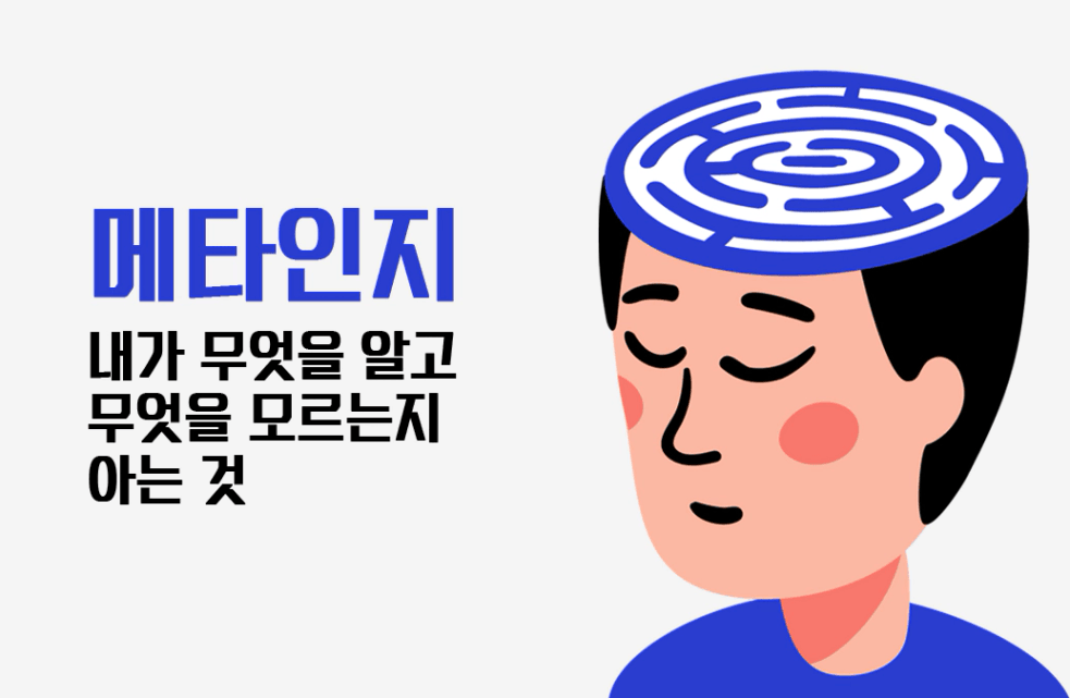 메타인지에 관하여