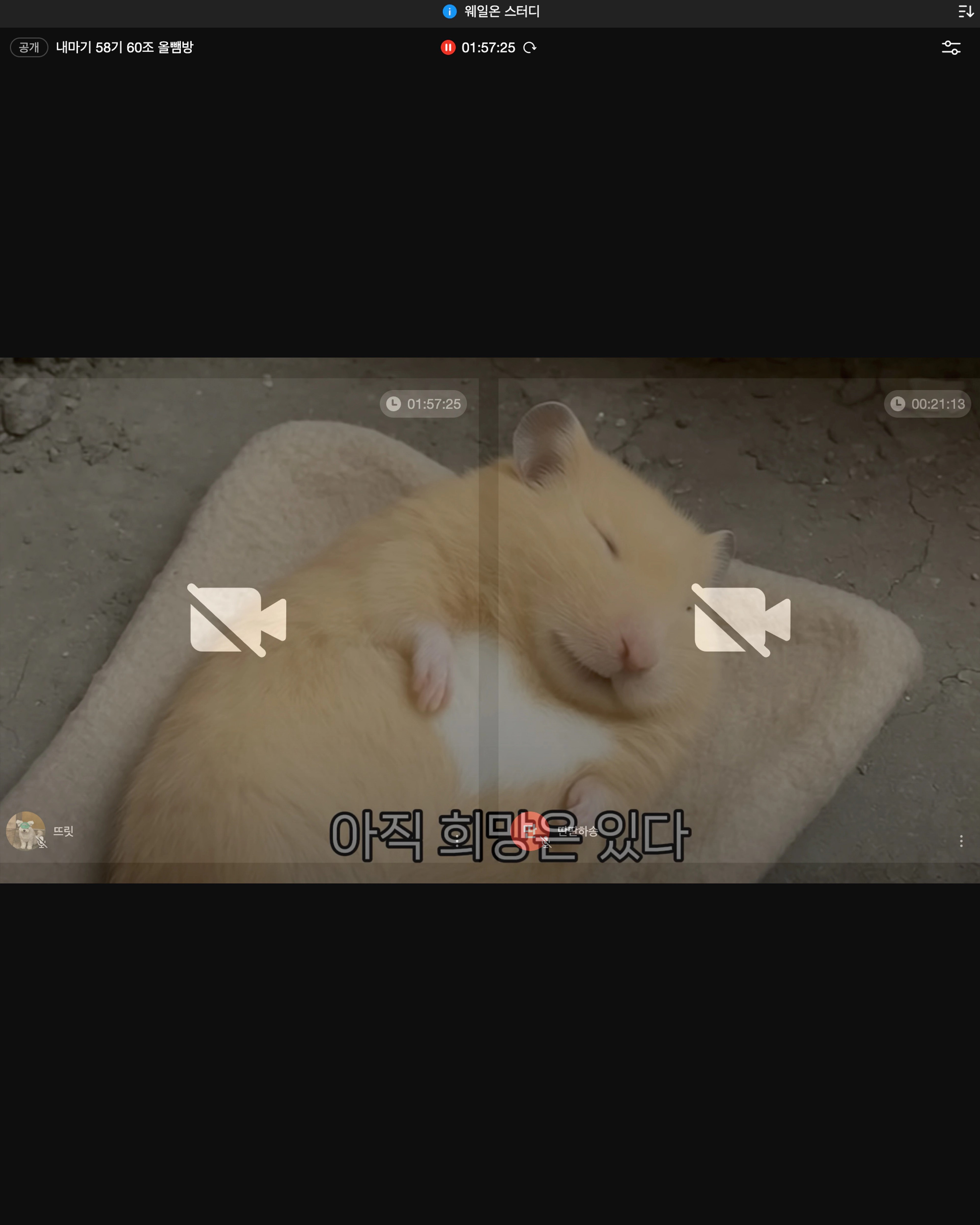 content thumbnail
