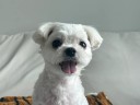 user-avatar