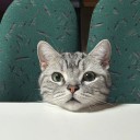 user-avatar
