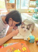 user-avatar