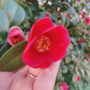 user-avatar
