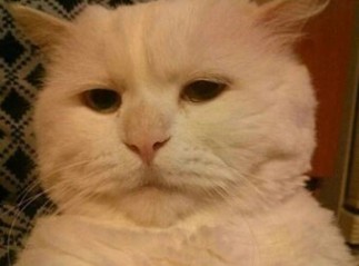 [생각] 부자 되는 법, 부자들의 공통점 2가지