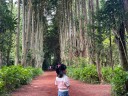 user-avatar