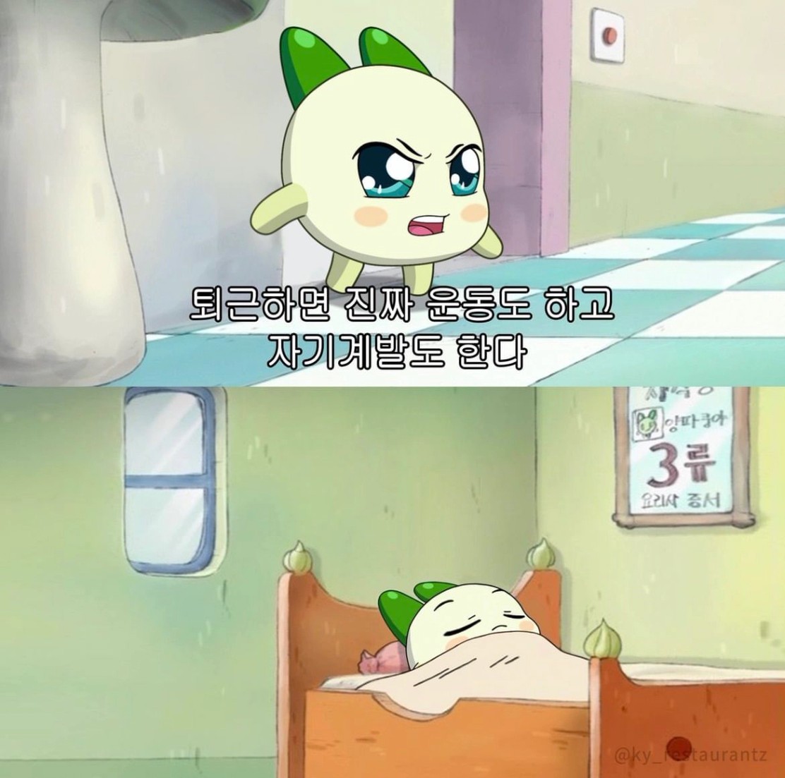 퇴근하면 진짜 운동고 하고 자기계발도 한다